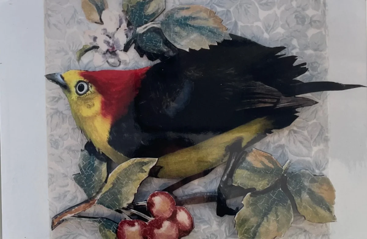 A textured mixed-media collage artwork depicting a black bird with a bright yellow breast and red head, perched on a branch with green leaves and red berries against a patterned background.