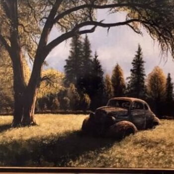 An old, weathered car sits in a sunlit field under a large tree, with a forest in the background.