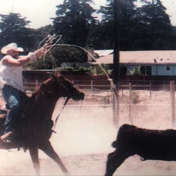A cowboy on a horse throws a lasso at a running calf in a dusty arena.