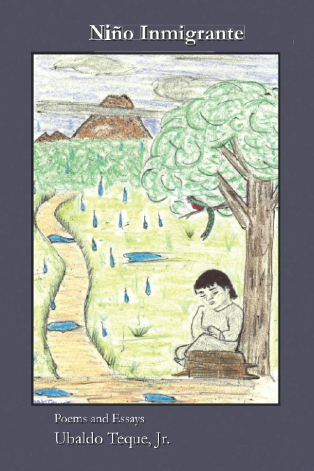 Cover of book, Niño Immigrante