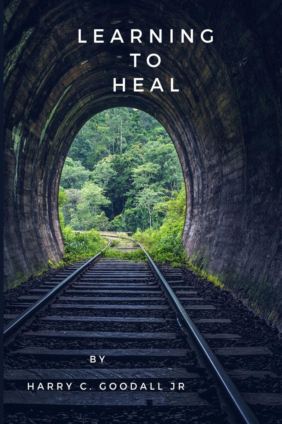 Cover of book, Learning to Heal