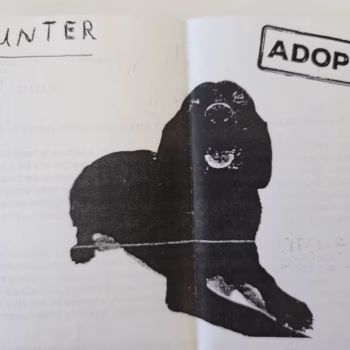A black silhouette of a dog sitting on a white background, with the name 'HUNTER' written above it and an 'ADOPTED 2019' stamp to the right.