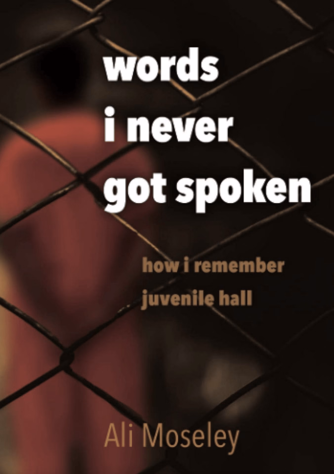 Words I Never Got Spoken