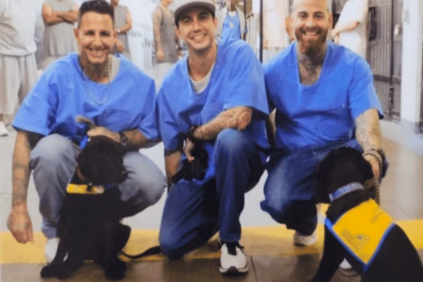 Three men in blue scrubs crouch with two black service dogs wearing yellow vests in a prison hallway.