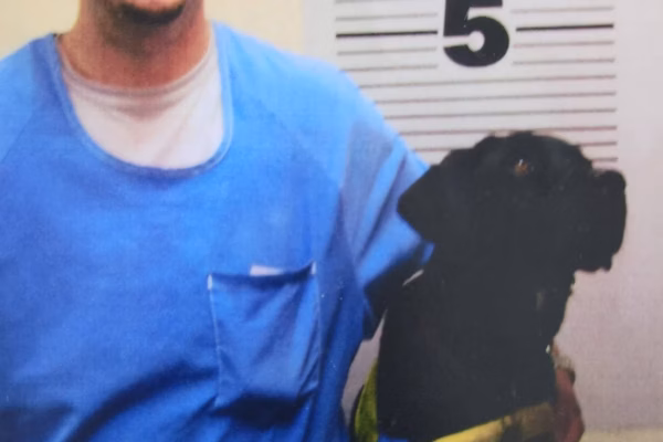 Man and dog at height chart A man in a blue shirt stands next to a black dog named Wendel in front of a height chart.