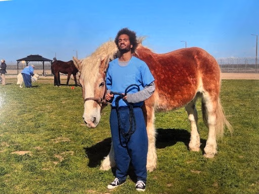 Marcus with his horse Marcus stands in a grassy field holding the lead of a large, reddish-brown horse with a white mane.