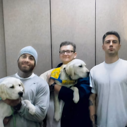 Three men in an elevator, each holding a white puppy.