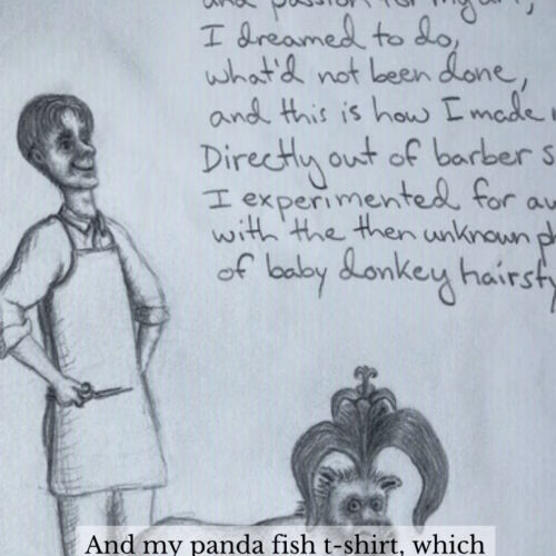 A pencil sketch of a man in an apron standing next to a table where a donkey is being styled with a large, elaborate hairstyle. Handwritten text above reads 'Baby Donkey Hairstyles by John' and a caption at the bottom says 'And my panda fish t-shirt, which is really a hoot,'.