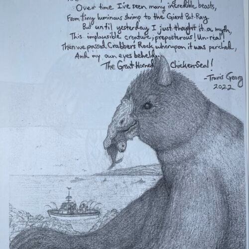 A pencil drawing of the Great Horned Chicken-Sea, a mythical sea creature with a horse-like head and a large horn, perched on a rocky shore overlooking the ocean where a boat is visible.