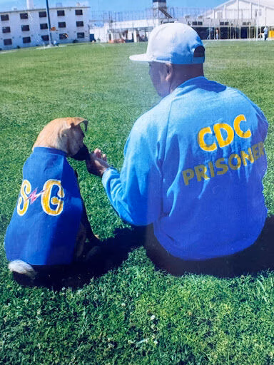A man in a CDC Prisoner shirt and a dog in a SC shirt sitting on a grassy field.