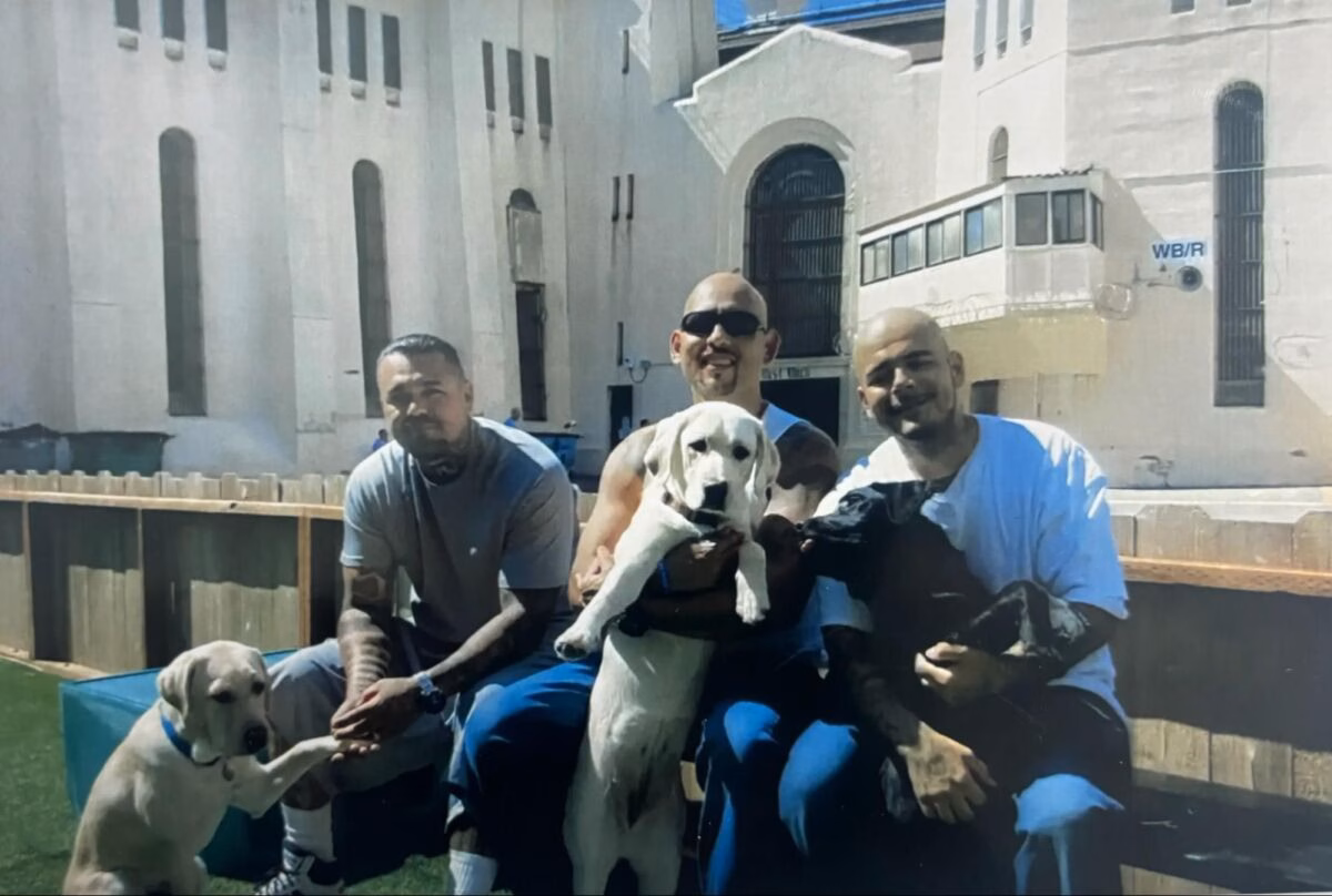Three men and three dogs posing together in front of a large white building.