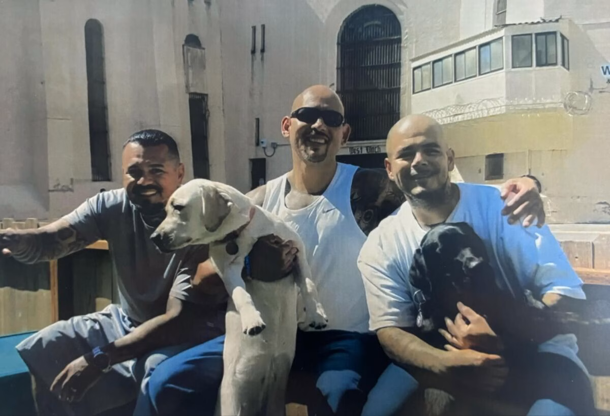 Three men sitting together outdoors, each holding a dog, in front of a large stone building.