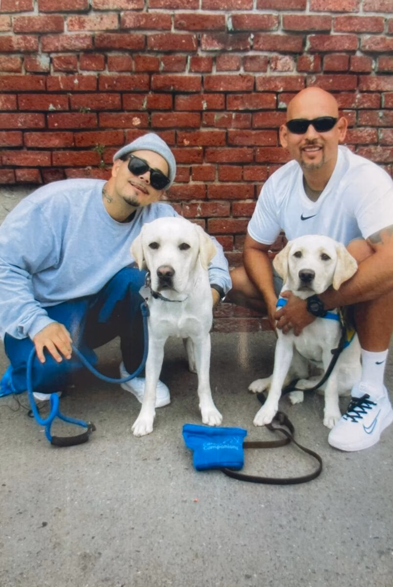 Two men in sunglasses and casual attire crouch with two white Labrador Retrievers in front of a red brick wall. One dog wears a blue harness with a 'Compassion' pouch.