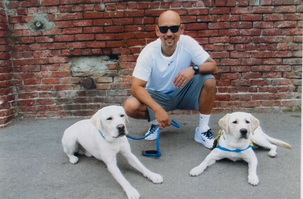 A bald man in sunglasses and a white t-shirt crouches between two white Labrador retrievers on a concrete surface in front of a red brick wall.