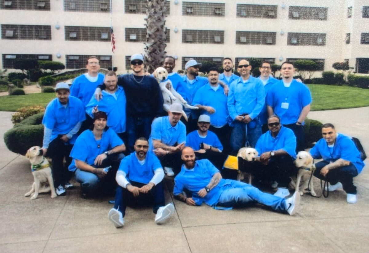 A group of men in blue scrubs posing with several yellow Labrador Retrievers in front of a large building.